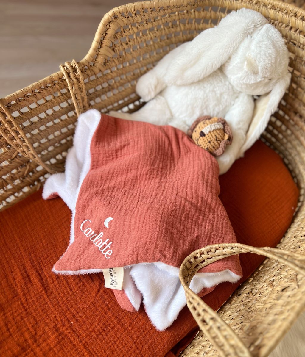 Read the Lion Comforter