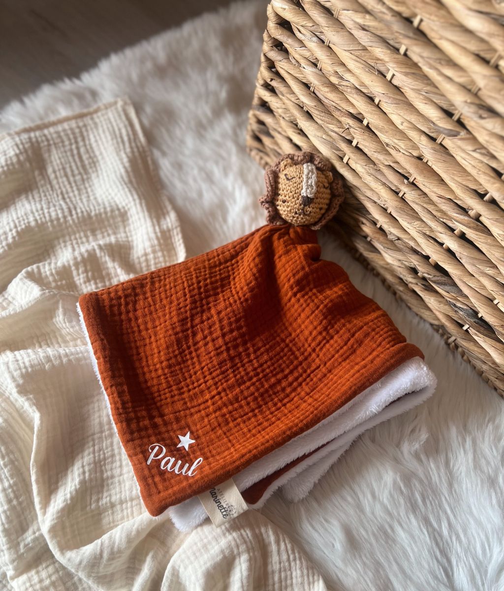 Read the Lion Comforter