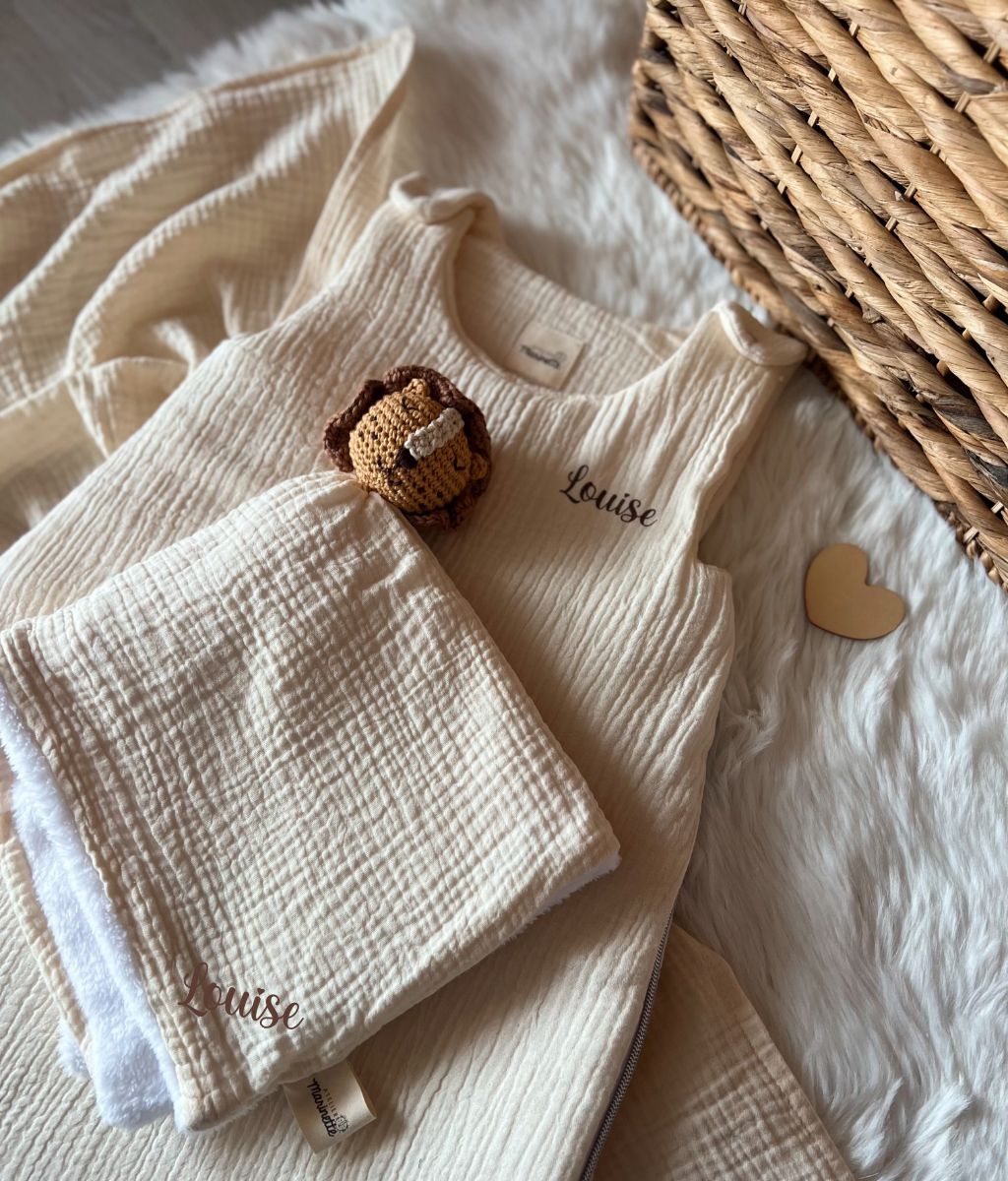 Read the Lion Comforter