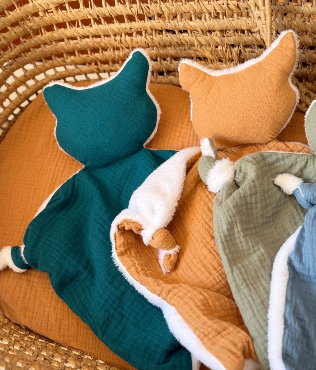 Sacha le doudou chat