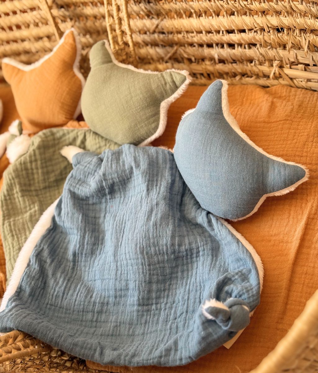 Sacha le doudou chat