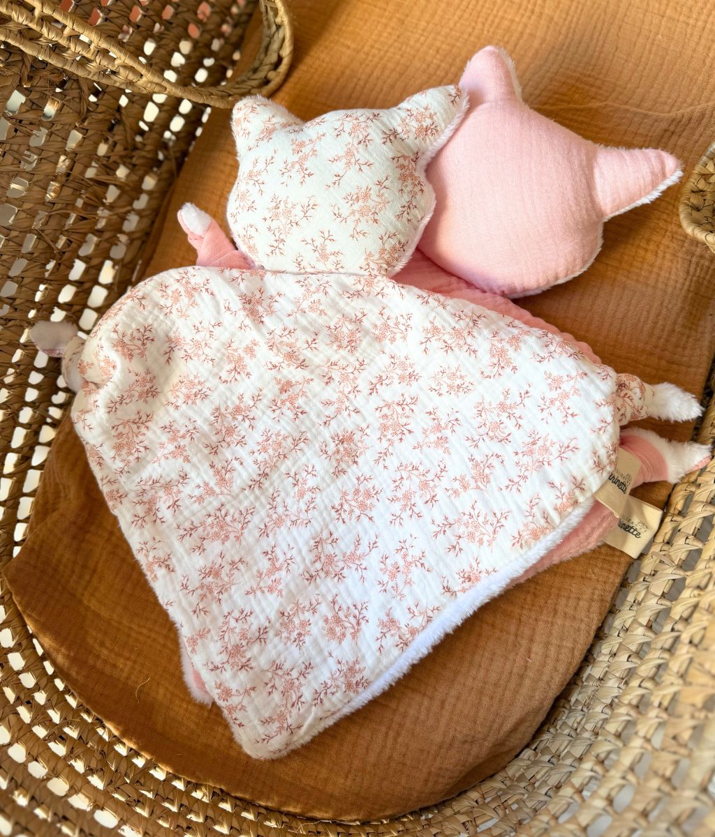 Sacha le doudou chat