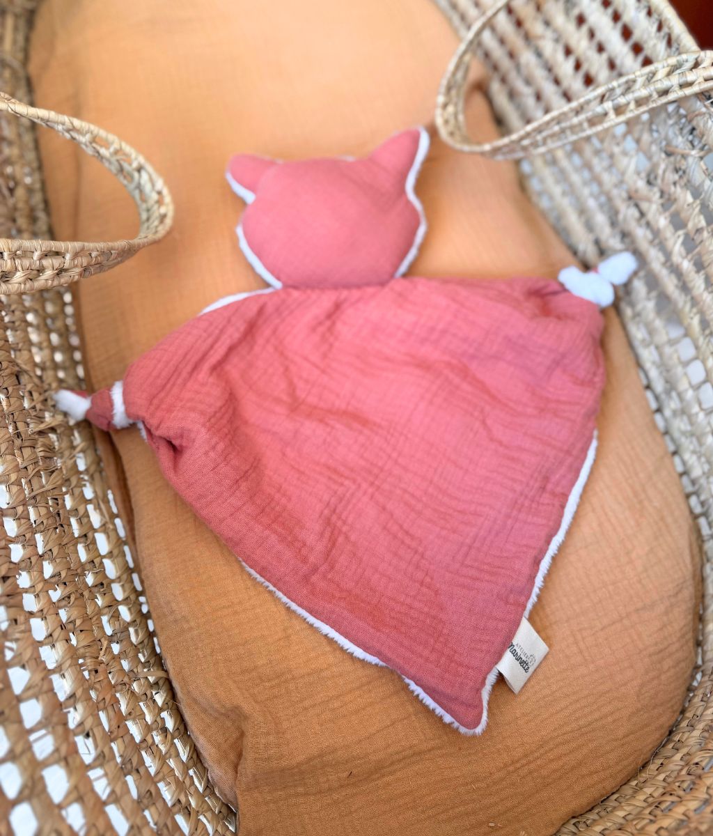 Sacha le doudou chat