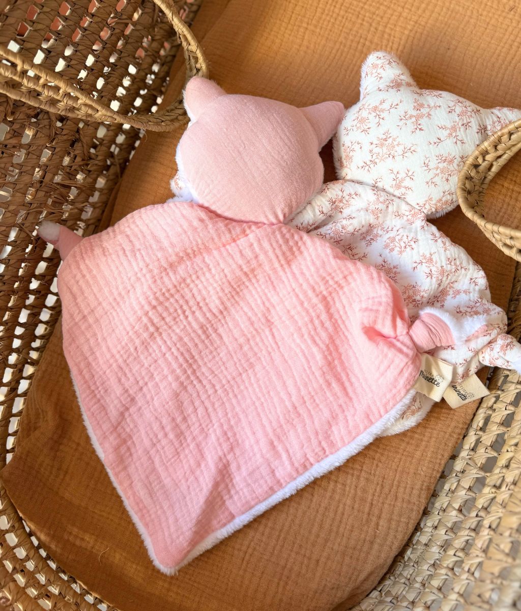 Sacha le doudou chat