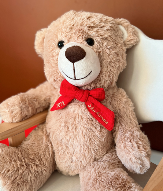 Apollo der Teddybär