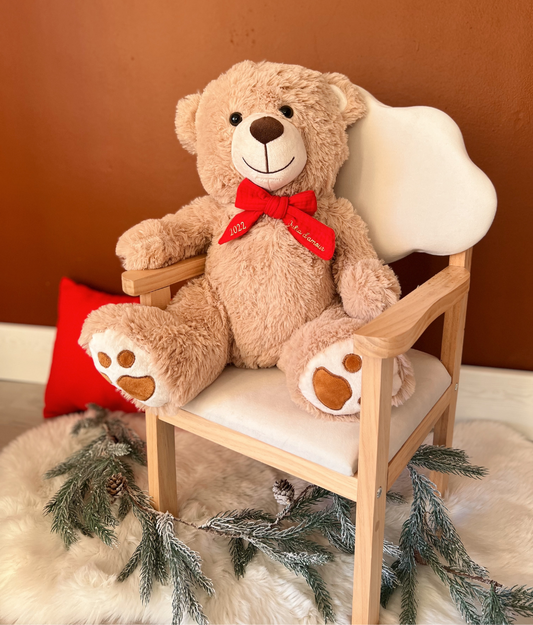 Apollo der Teddybär