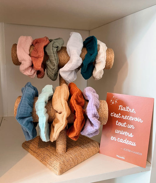 Cassie le chouchou maxi