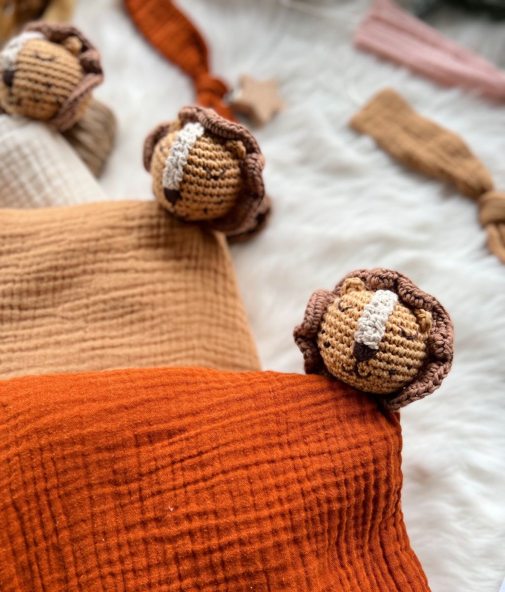 Read the Lion Comforter