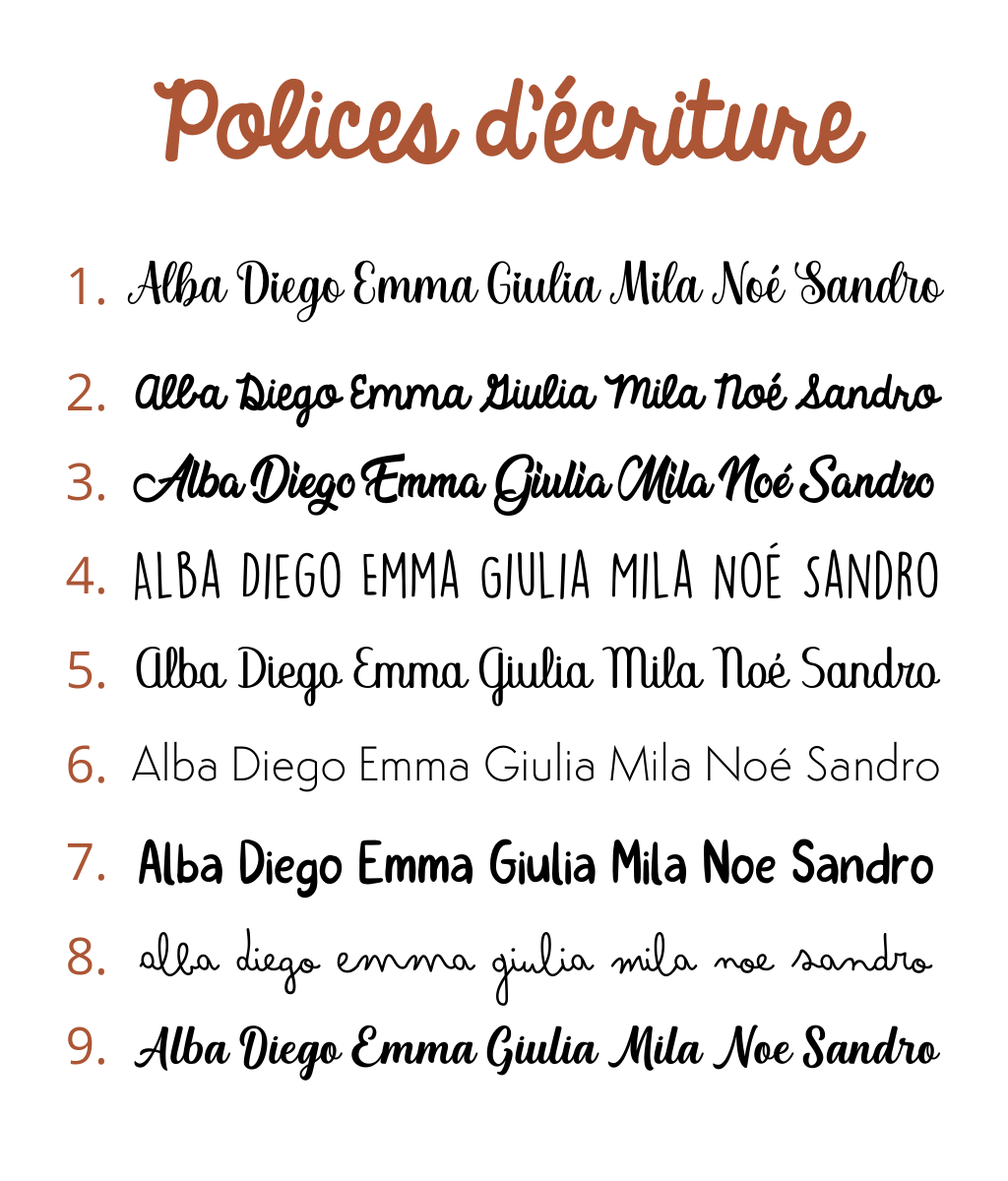 Apollo the teddy bear